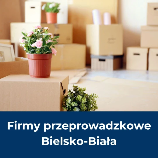 Ekspresowe przeprowadzki 