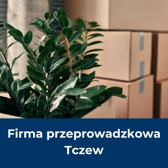 przeprowadzki lokalne i międzymiastowe